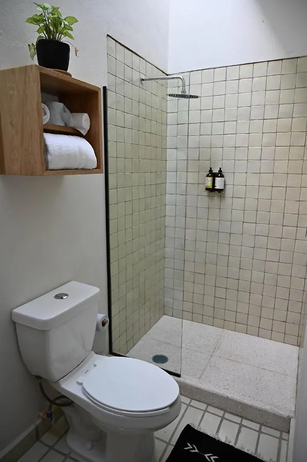 Casa Kali By Barrio Mexico Hotel Guadalajara