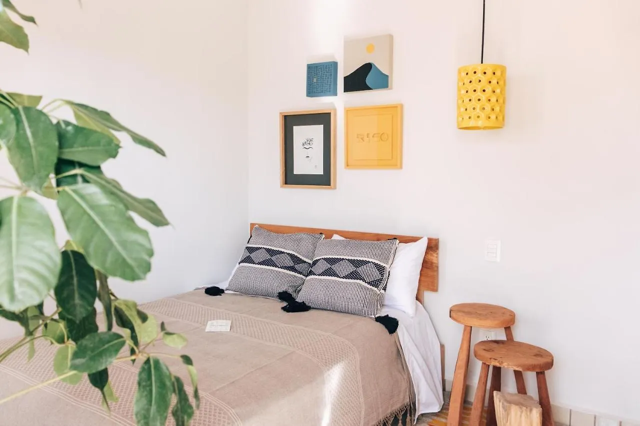 Casa Kali By Barrio Mexico Hotel Guadalajara Mexico