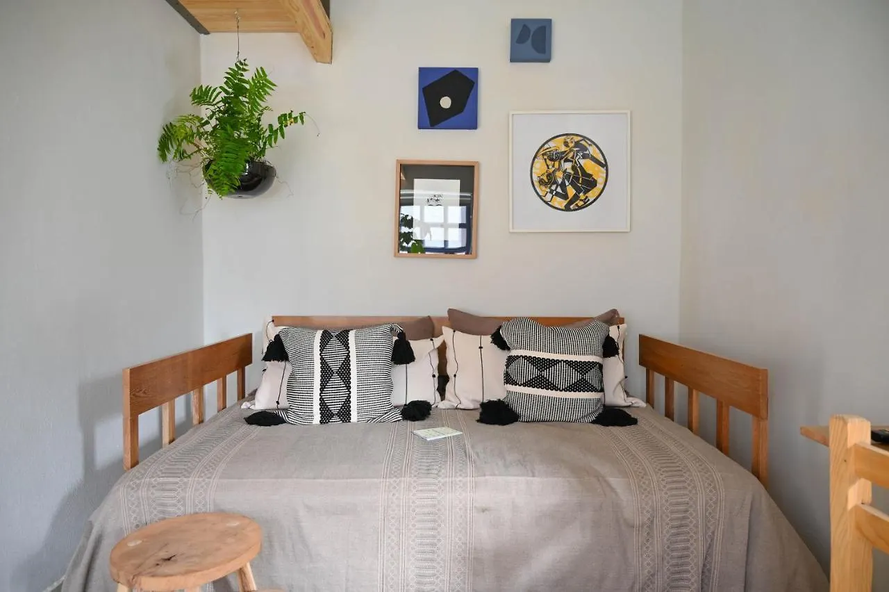 Casa Kali By Barrio Mexico Hotel Guadalajara Mexico