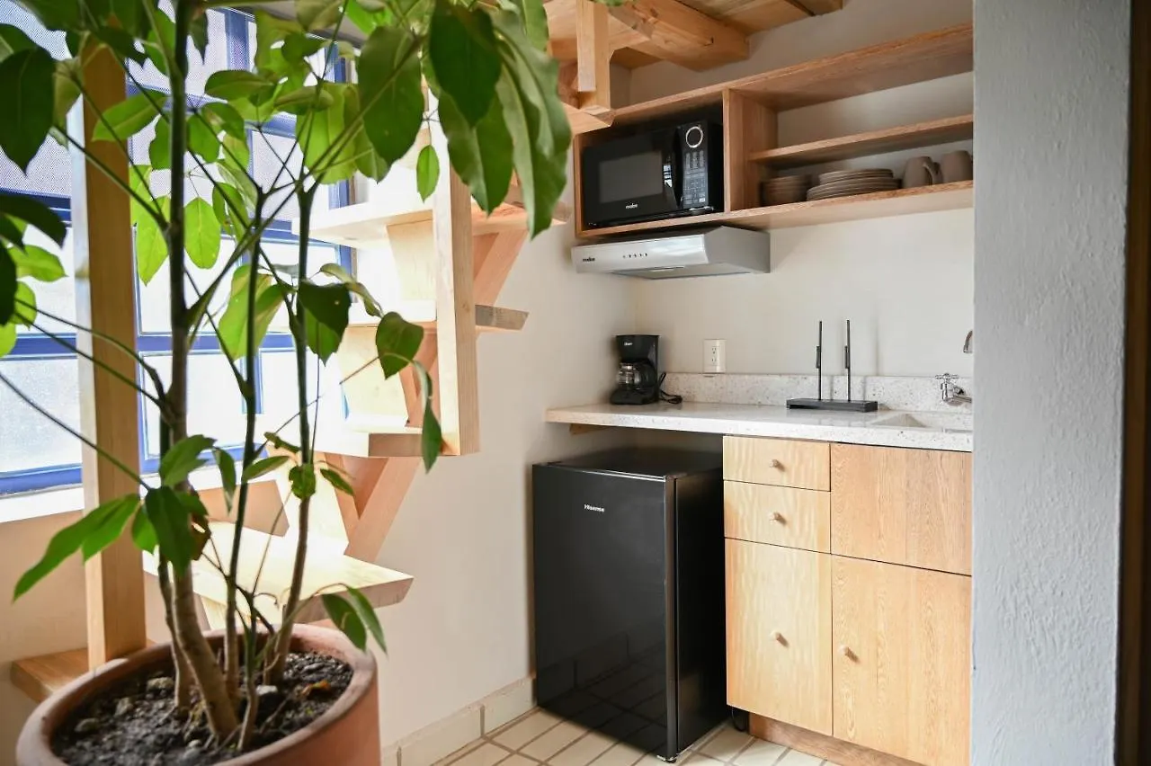 Casa Kali By Barrio Mexico Hotel Guadalajara